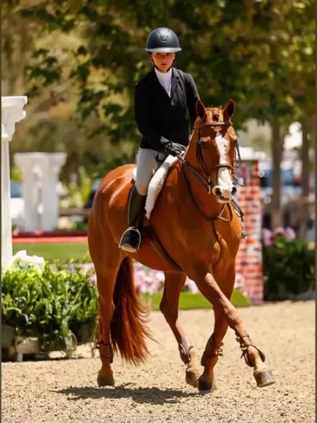 Dreama-Granddaughter-Equestrian-crop3